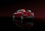 Seat Ibiza Bocanegra 2009 года